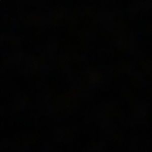 Meet your Posher, Chase